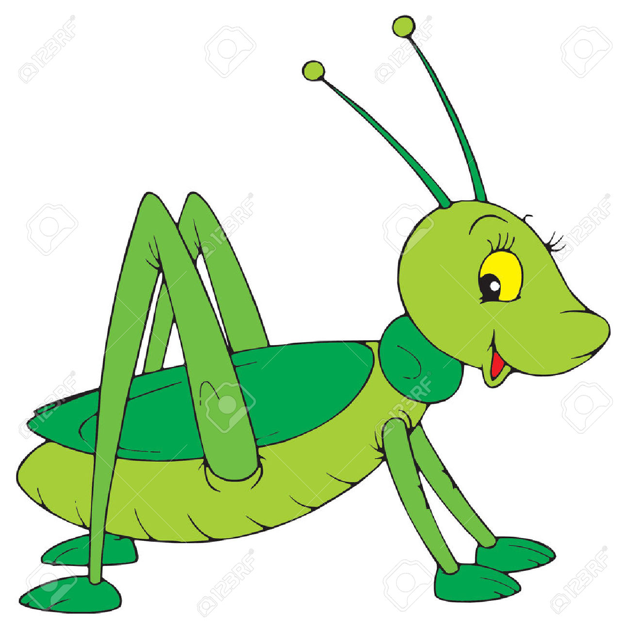Cartoon Cricket Insect Clipart