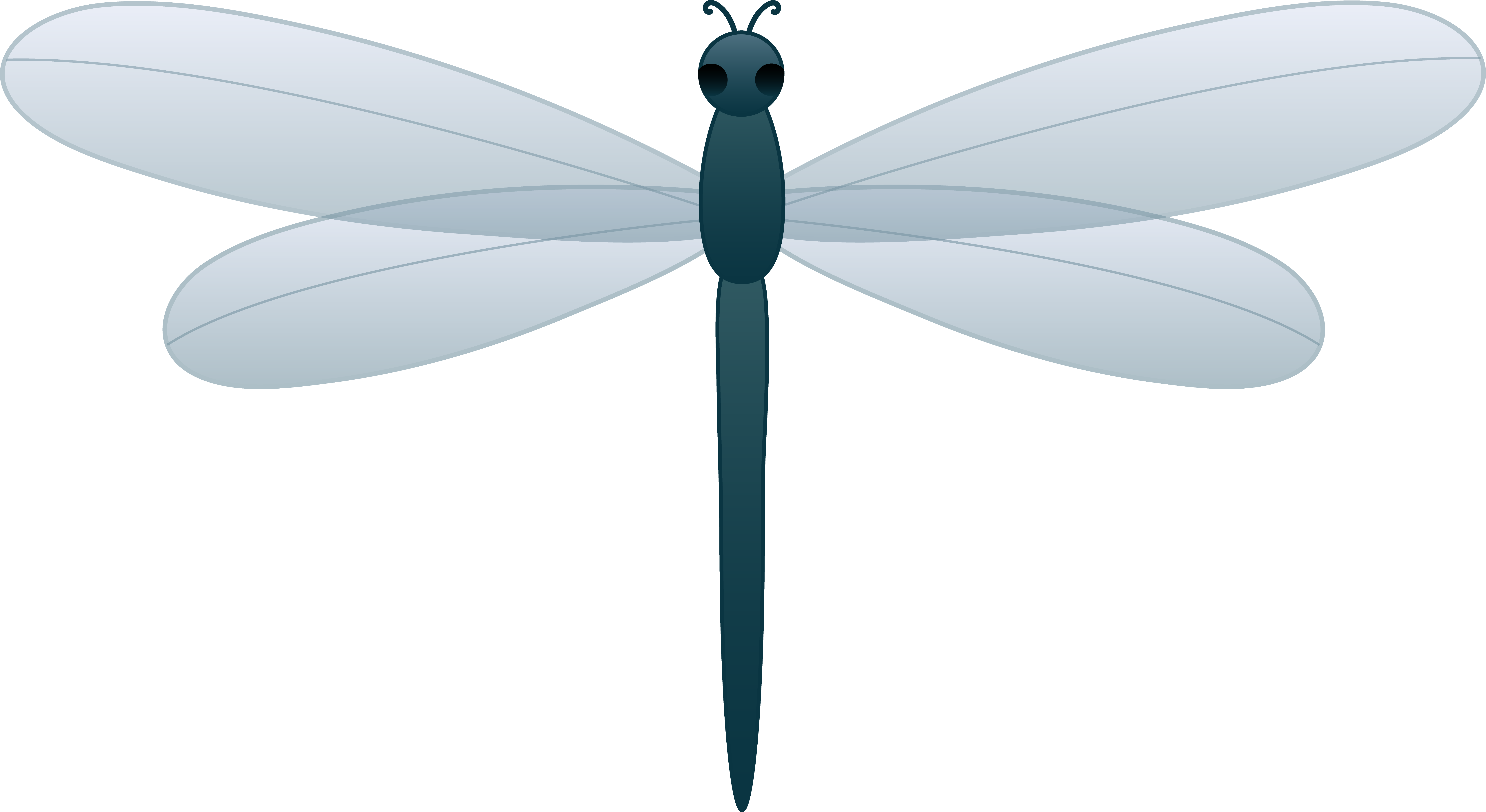 Scribble Dragonfly