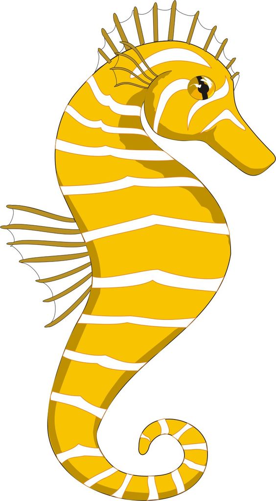Cartoon Fish: Seahorse 5
