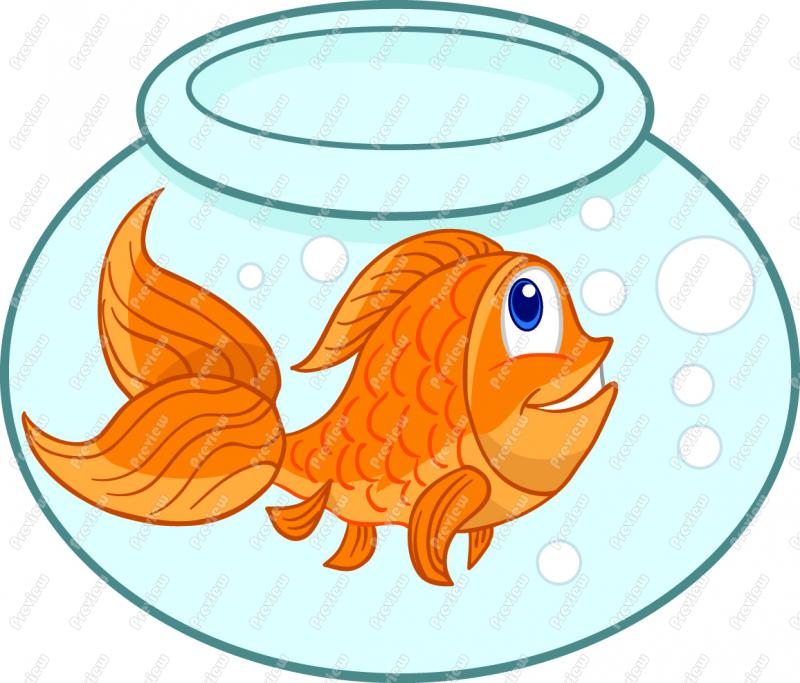 Cartoon Goldfish Clip Art Gold .