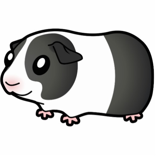 Cartoon Guinea Pig Black Dutc - Guinea Pig Clip Art