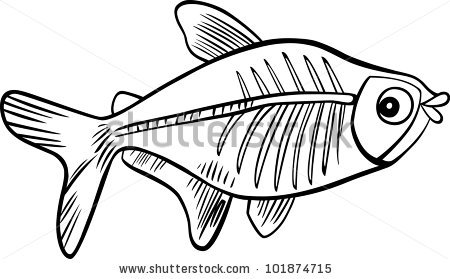 cartoon illustration of x-ray fish for coloring book