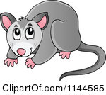 Cartoon Of A Cute Australian Possum Royalty Free Vector Clipart