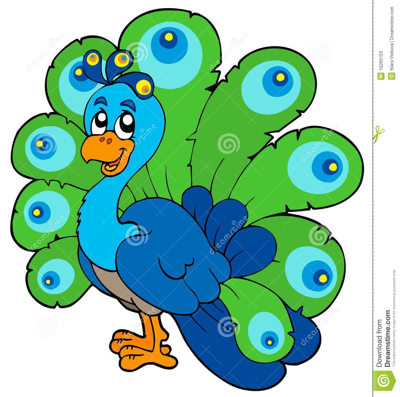 Peacock Stock Illustrations u