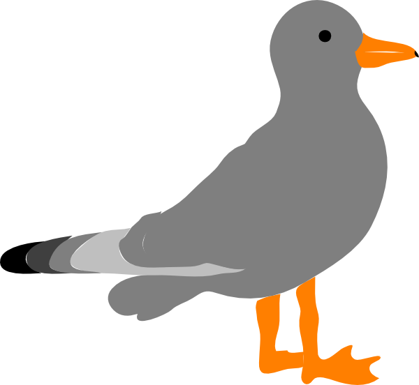 seagull clipart