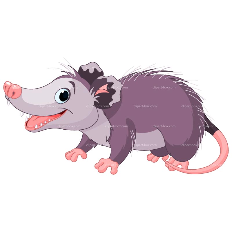 Cartoon Possum Clip Art Quote - Possum Clipart