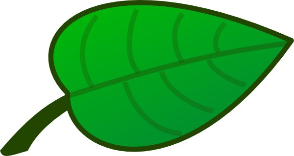Cartoon Rainforest Leaf . - Green Leaf Clipart