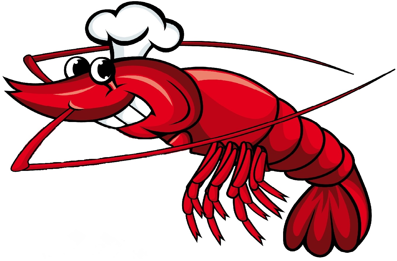 ... Cute shrimp cartoon illus