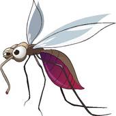 Cartoon STOP Mosquito u0026middot; Cartoon Character Mosquito