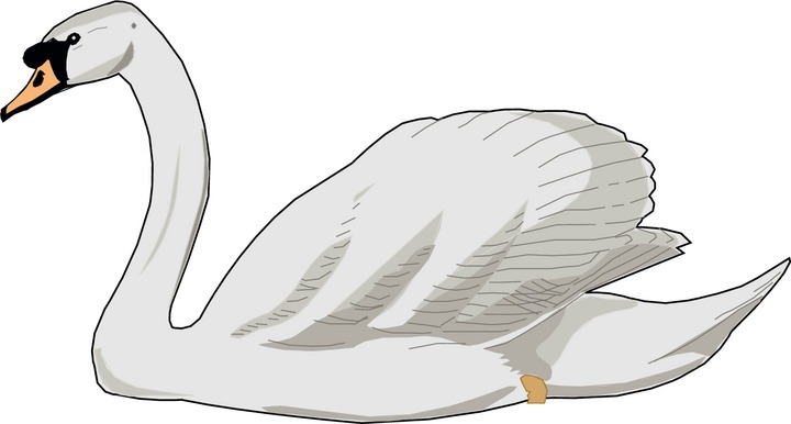 Cartoon swan clipart clipartall. Swan cliparts