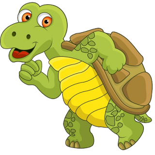 Cartoon Tortoise And Turtle Clip Art Images