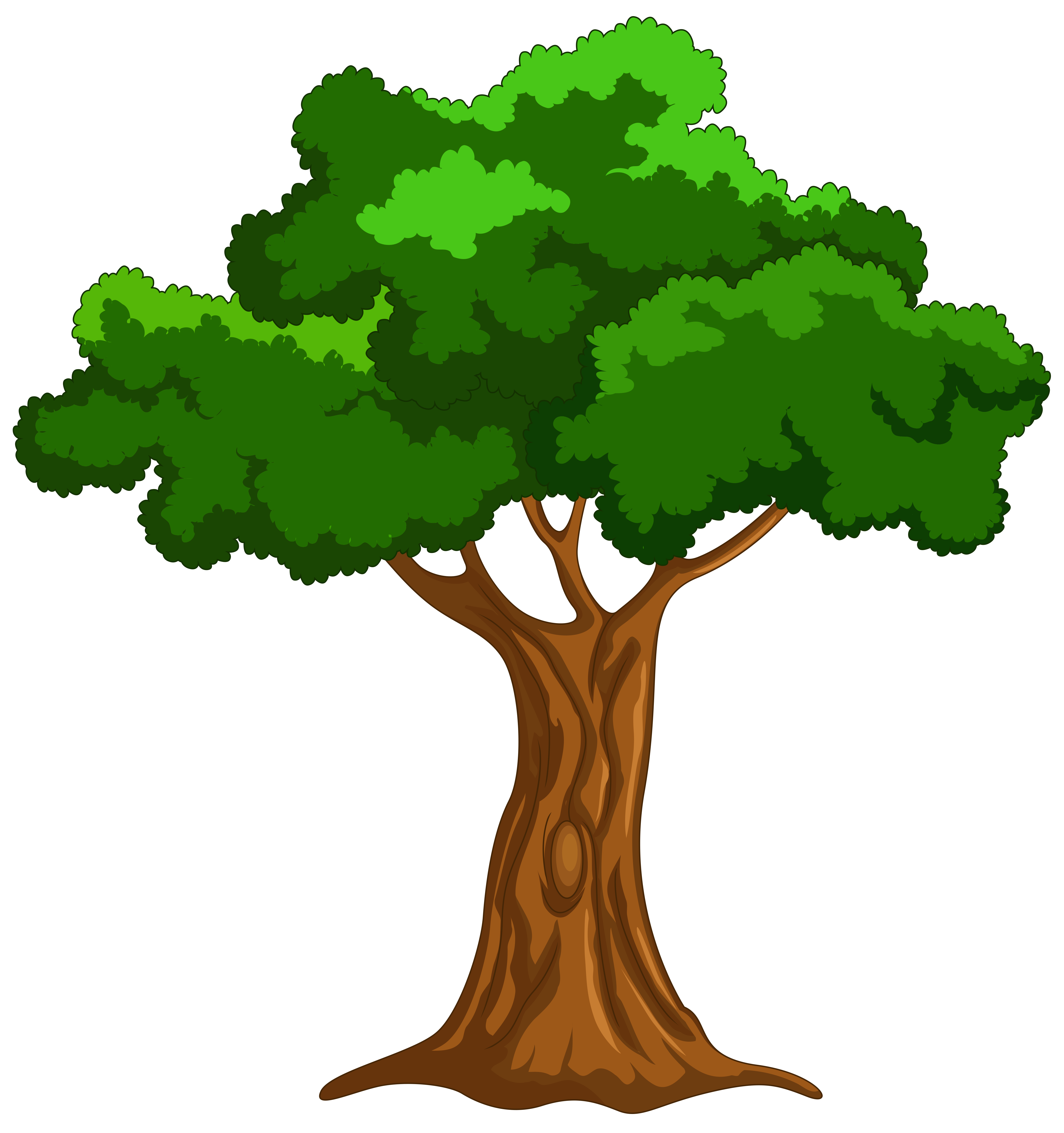 Cartoon tree clip art web . - Tree Clipart