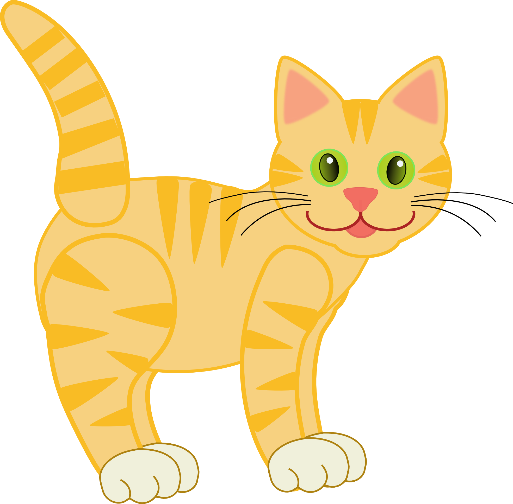 Cute Orange Cat