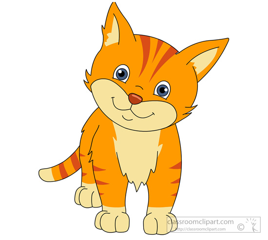 Cute Orange Cat