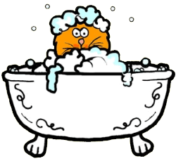 Cat Bubble Bath .