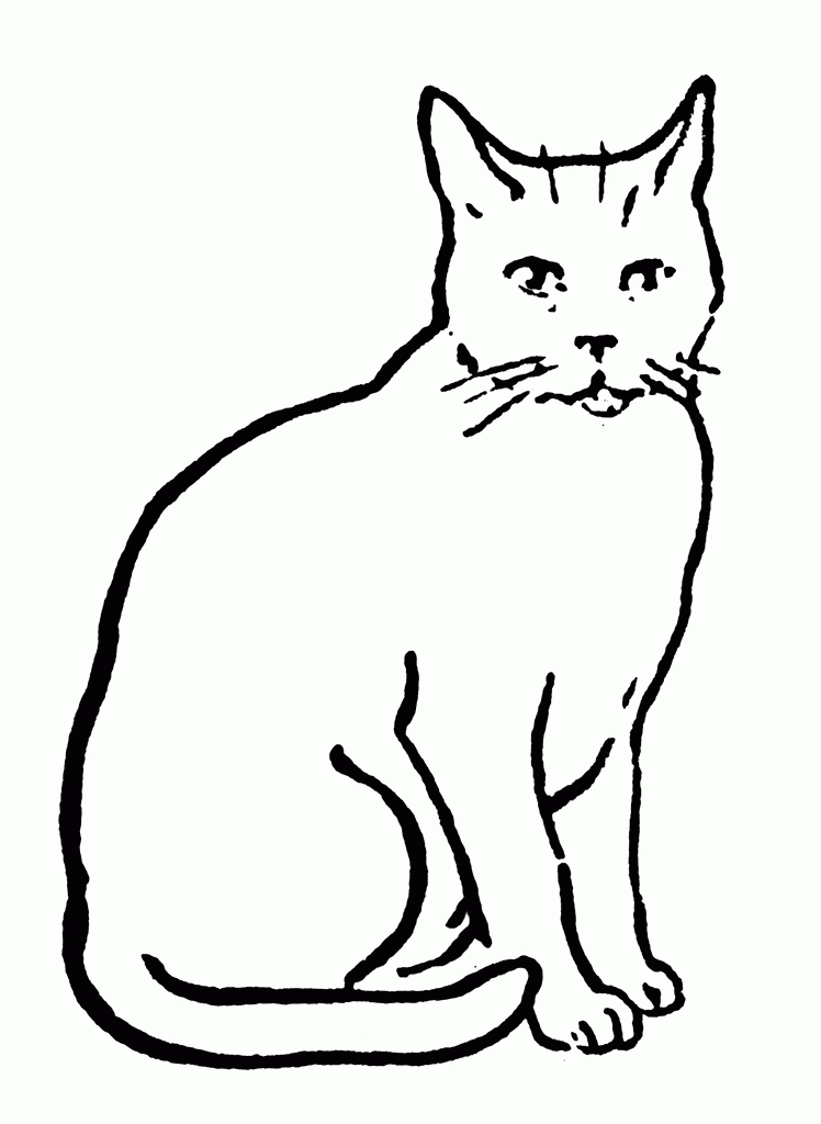 Cat Clipart - Clipart Of Cat