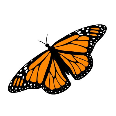 Monarch Butterfly Black White