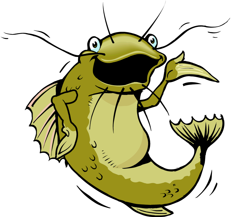 catfish: illustration of angr