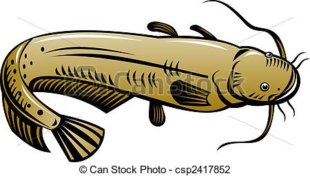 ... Catfish high angle - Illustration of a brown catfish high... Catfish high angle Clip Artby ...