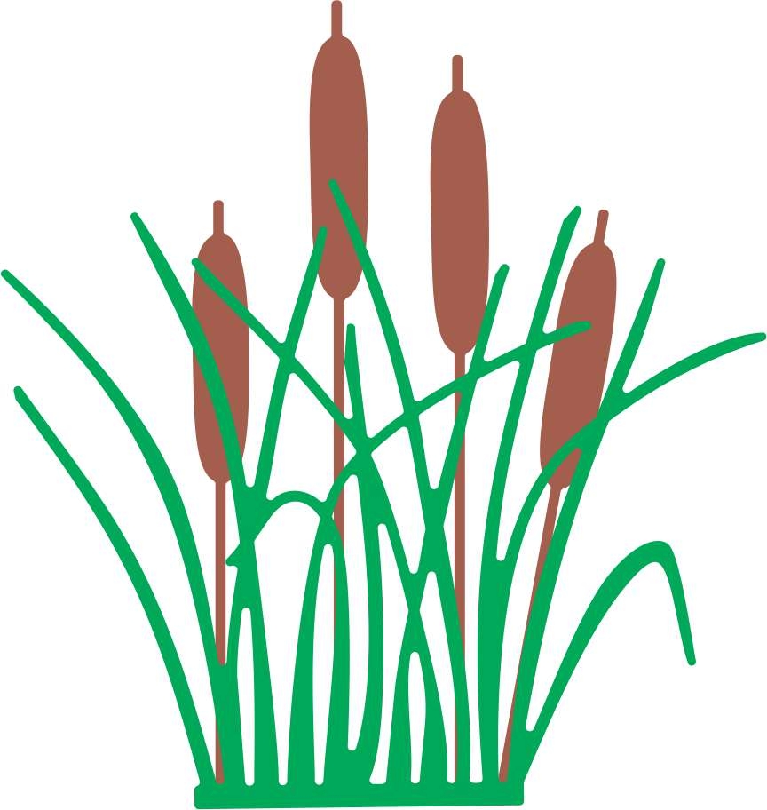 Cattails Clipart Black And Wh - Cattail Clipart