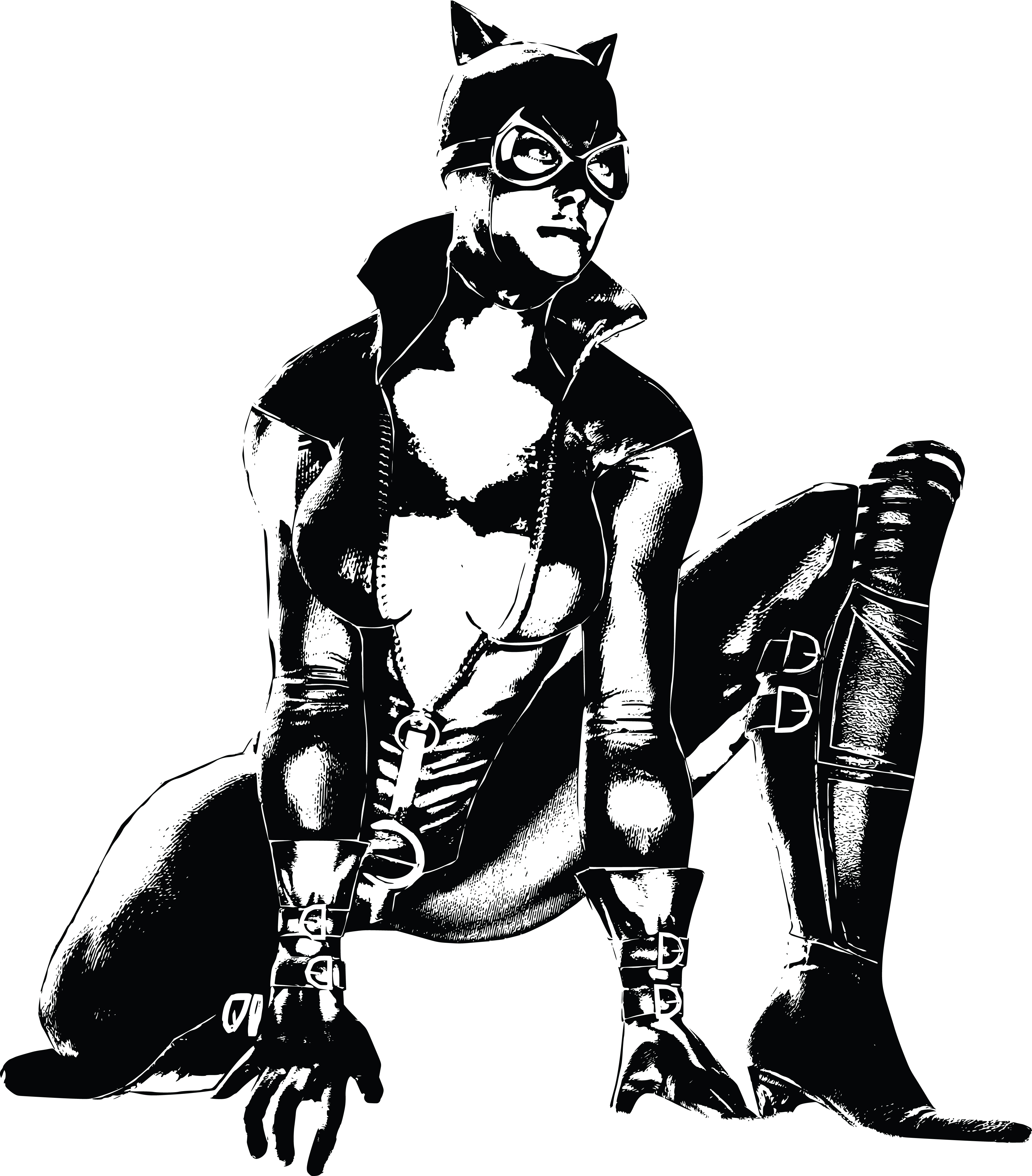 Catwoman Clipart-Clipartlook.com-4000