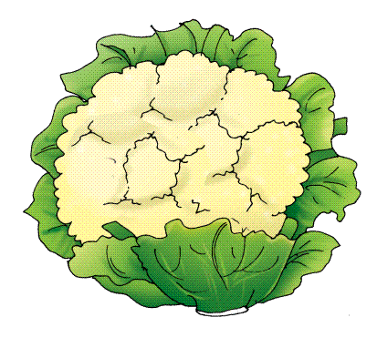 cartoon cauliflower - csp3465