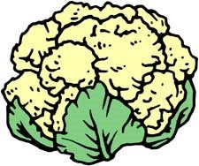 cauliflower clipart 7