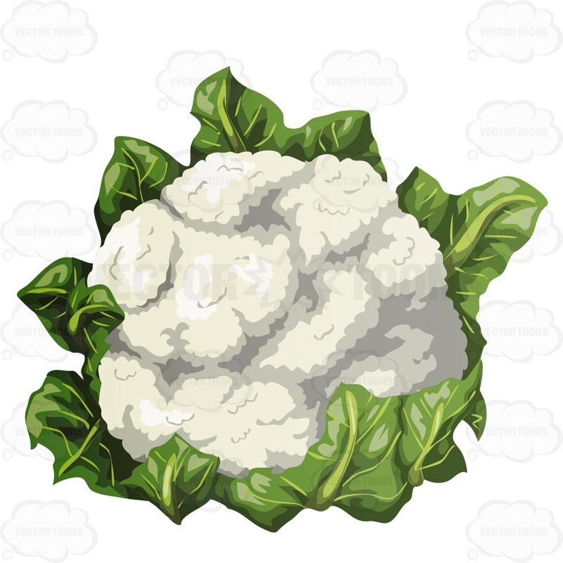 cauliflower clipart - Google Search