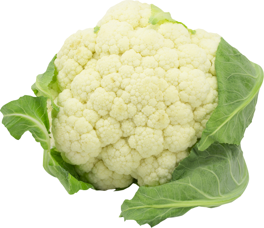 Cauliflower Clipart PNG Image