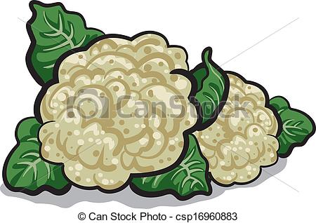cauliflower - csp16960883