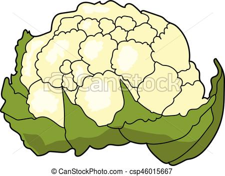 cauliflower - csp46015667