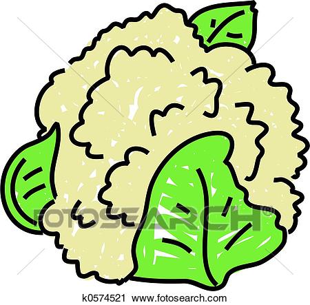 Cauliflower isolated on white drawn in toddler art style