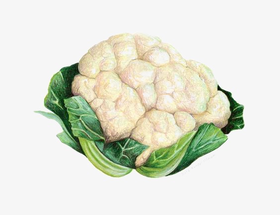 cauliflower, Vegetables, Illu - Cauliflower Clipart
