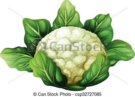 Cauliflower with green leaves - csp32727085