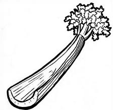 Celery Clipart - Celery Clipart