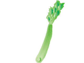 Celery cliparts - Celery Clipart