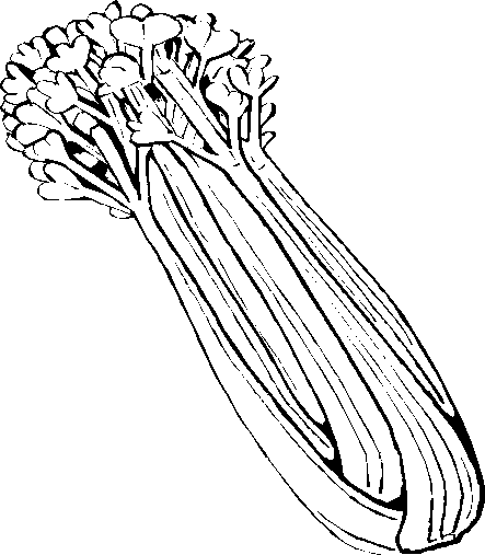 Celery cliparts