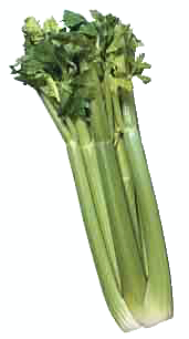 Celery Free Clipart #1 - Celery Clipart