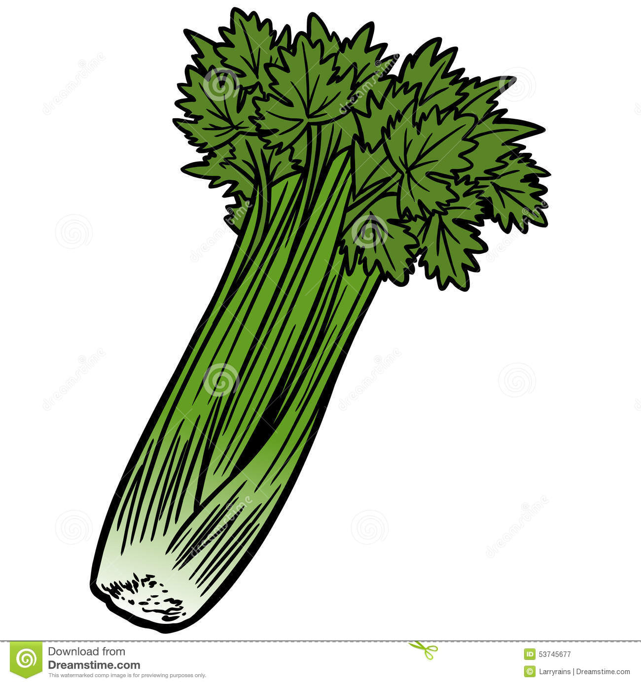 Celery Royalty Free Stock Pho - Celery Clipart
