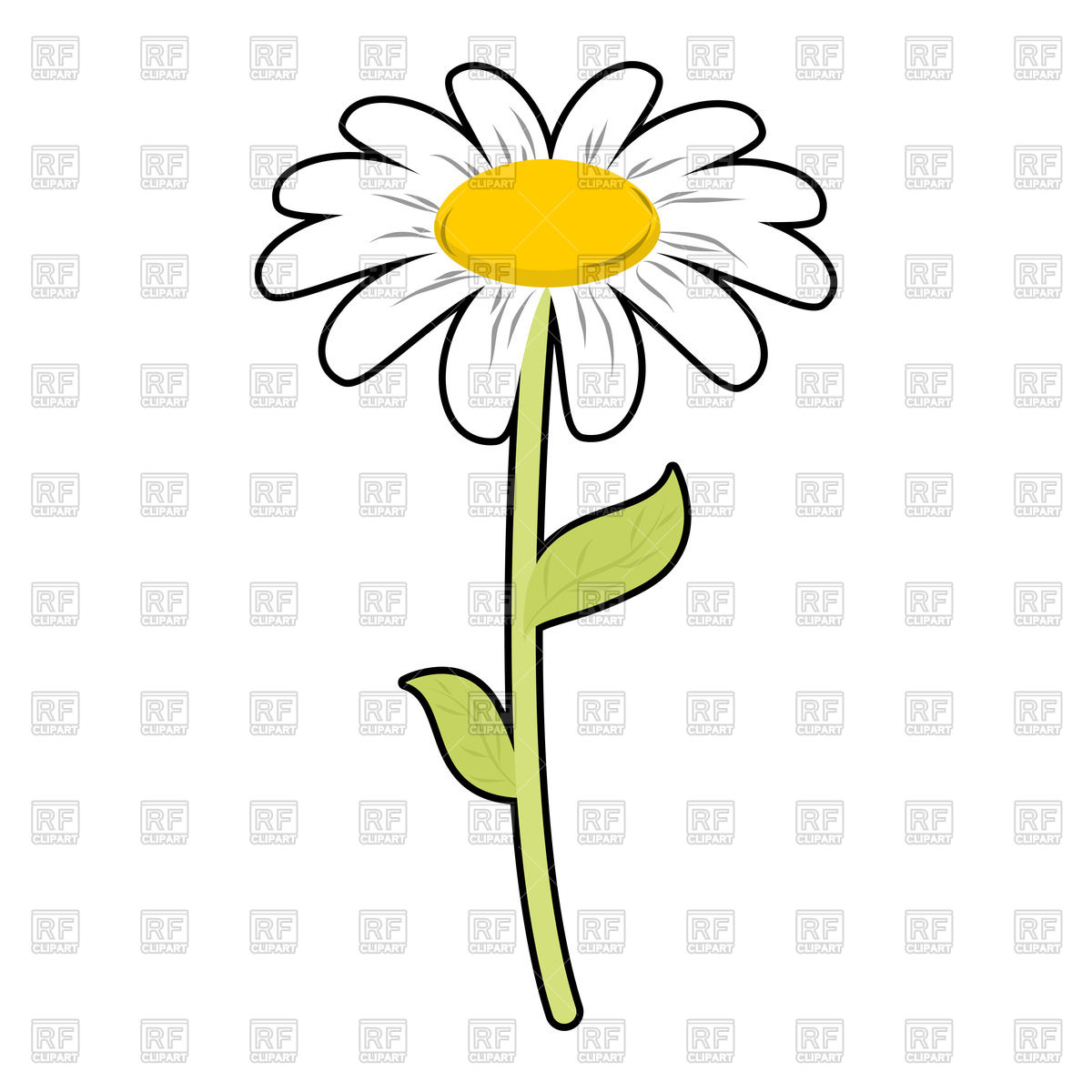 Chamomile flowers, silhouette