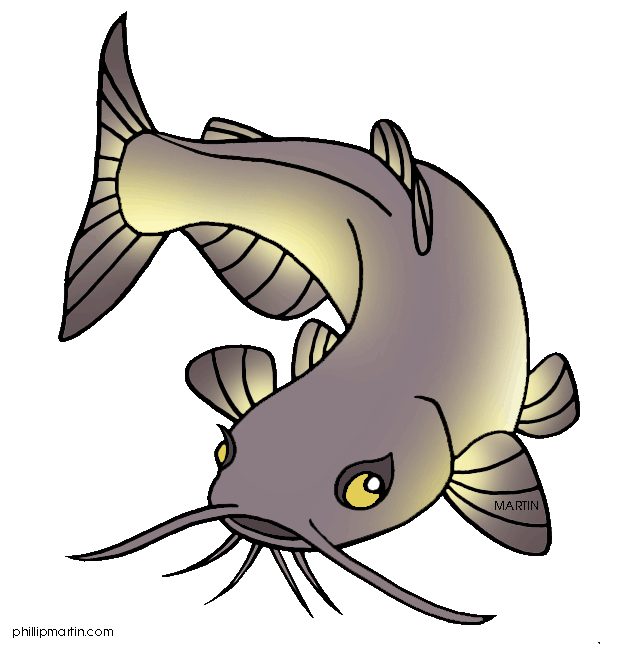 Channel Catfish Clip Art