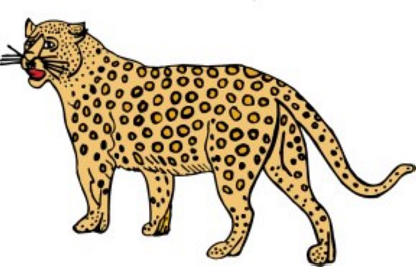 cheetah clipart 