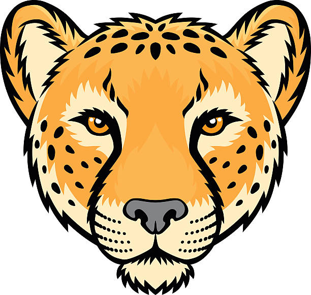 Cheetah vector art illustration