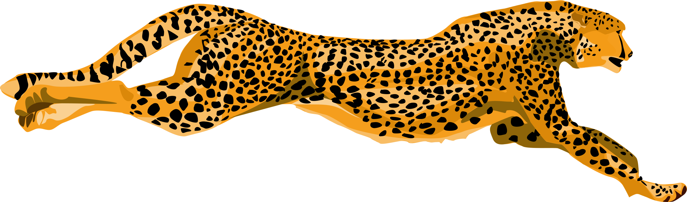 Free cheetah clipart clip art