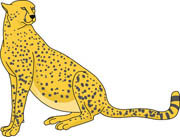 Cheetah Size: 53 Kb - Clipart Cheetah