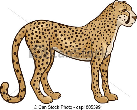 ... Cheetah - Vector illustration of a cheetah isolated on a.