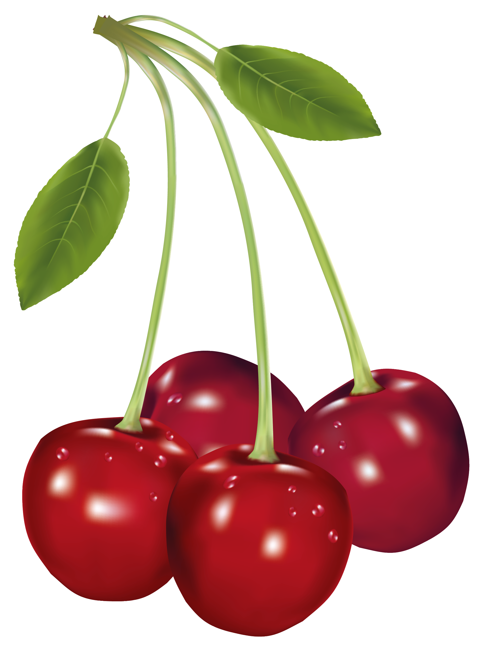 Free Red Cherries Clip Art