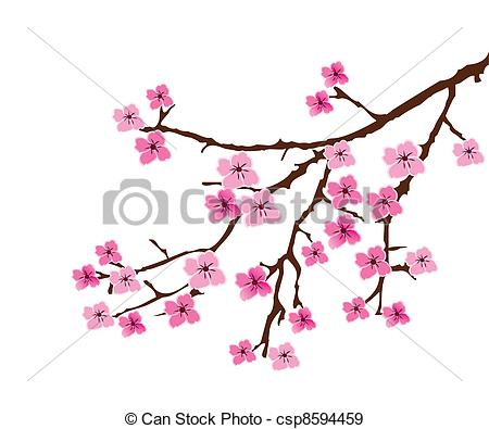 ... cherry blossom - vector blossom branch