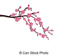 ... cherry blossom - vector illustration of a branch with cherry... ...