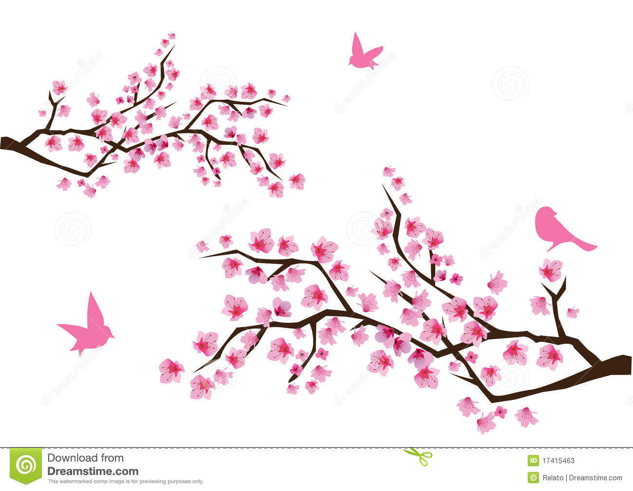 cherry blossoms | Cherry blossom